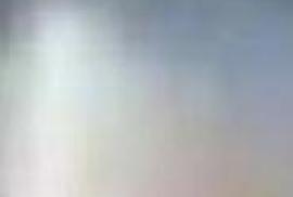 Boston Bronco Stitcher